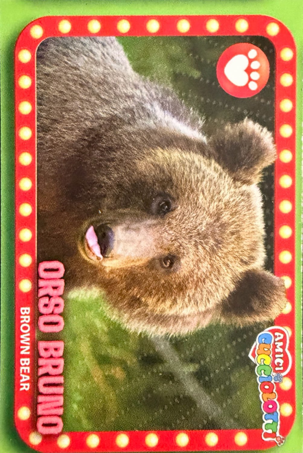 Amici Cucciolotti 2026 Pizzardi Editore - Figurine a Scelta 1-250