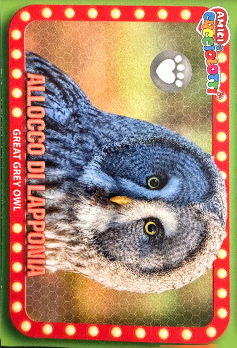 Amici Cucciolotti 2026 Pizzardi Editore - Figurine a Scelta 1-250