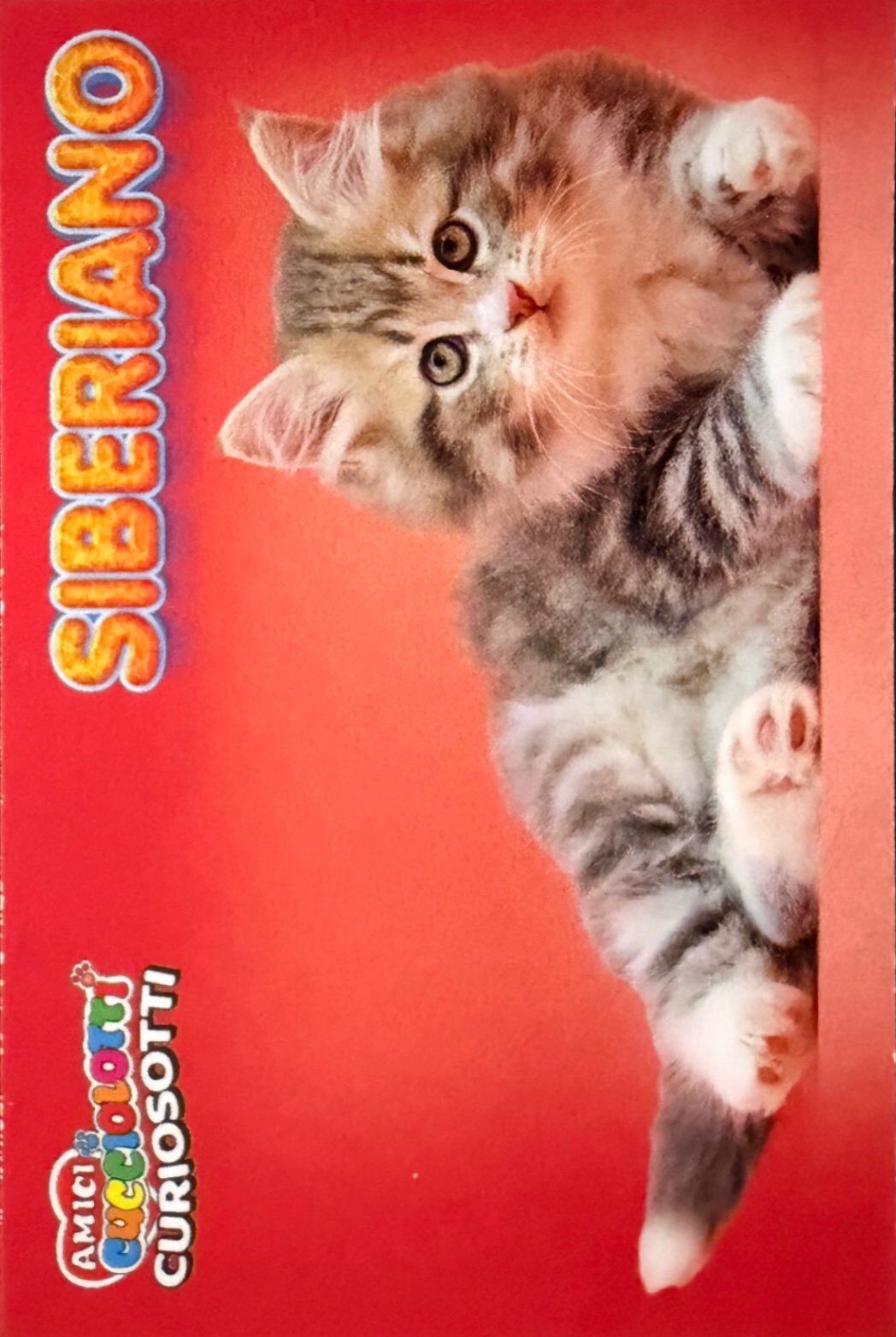 Amici Cucciolotti 2026 Pizzardi Editore - Figurine a scelta da 251 a 460 MD MS Tattoo