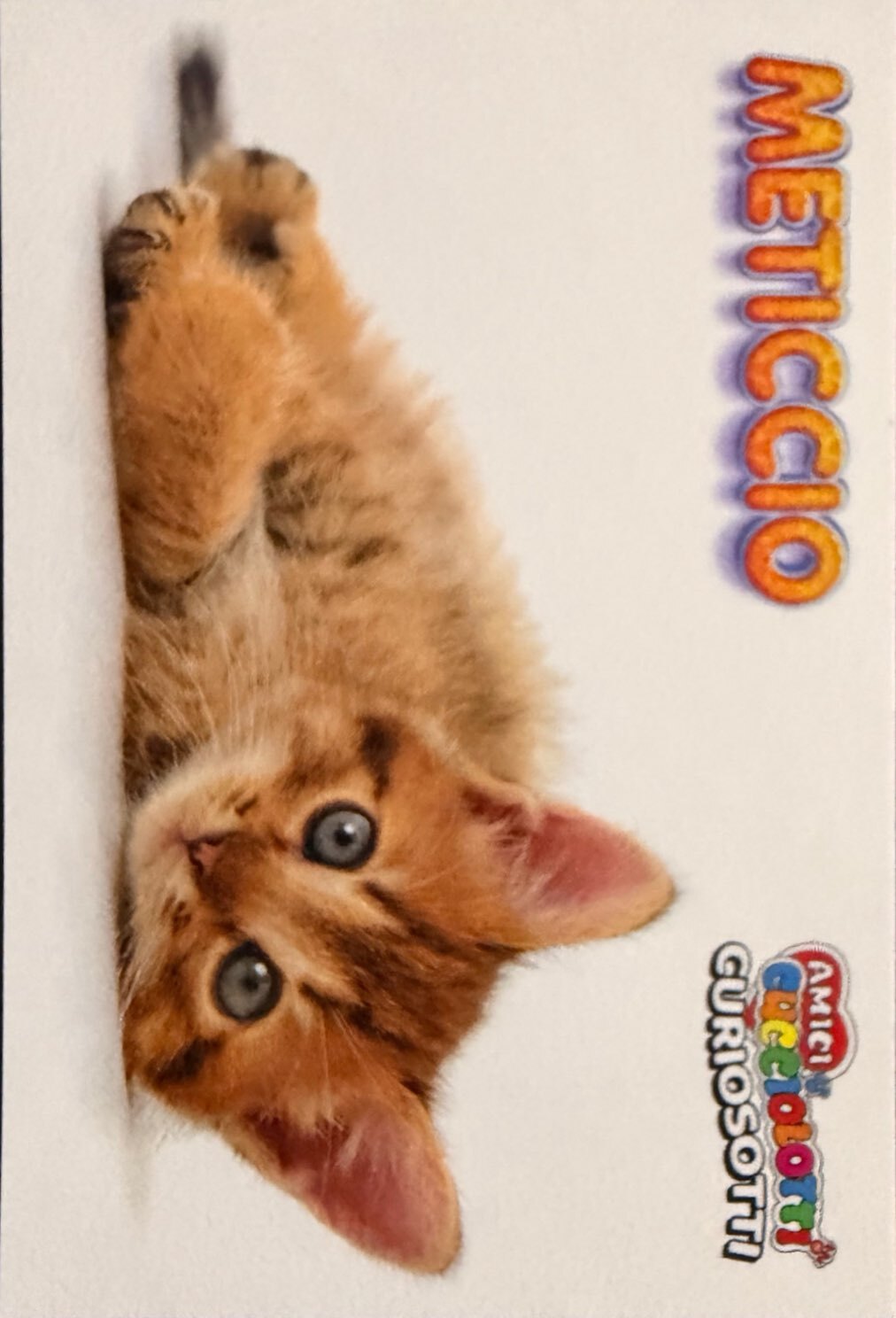 Amici Cucciolotti 2026 Pizzardi Editore - Figurine a scelta da 251 a 460 MD MS Tattoo