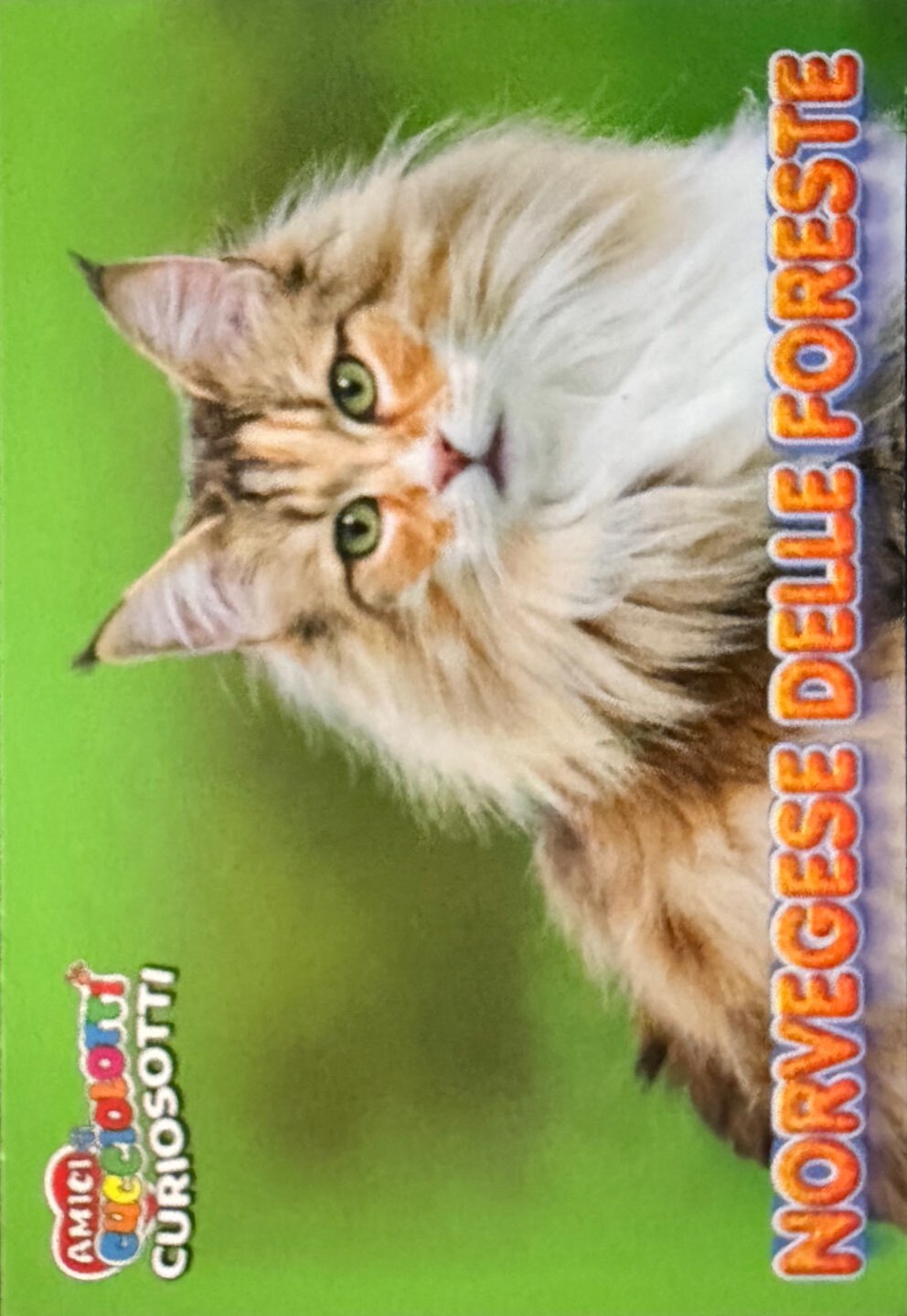 Amici Cucciolotti 2026 Pizzardi Editore - Figurine a scelta da 251 a 460 MD MS Tattoo