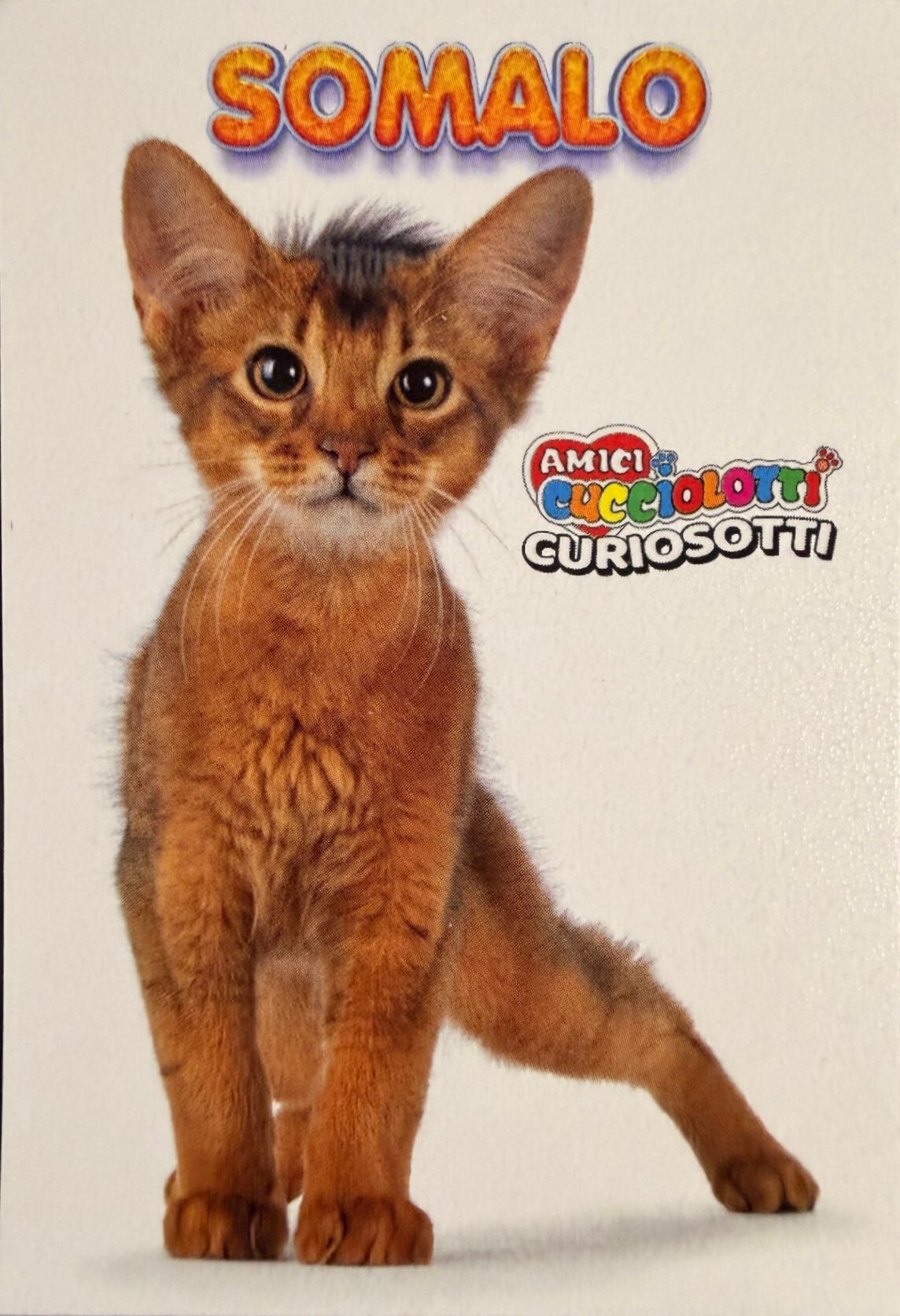 Amici Cucciolotti 2026 Pizzardi Editore - Figurine a scelta da 251 a 460 MD MS Tattoo