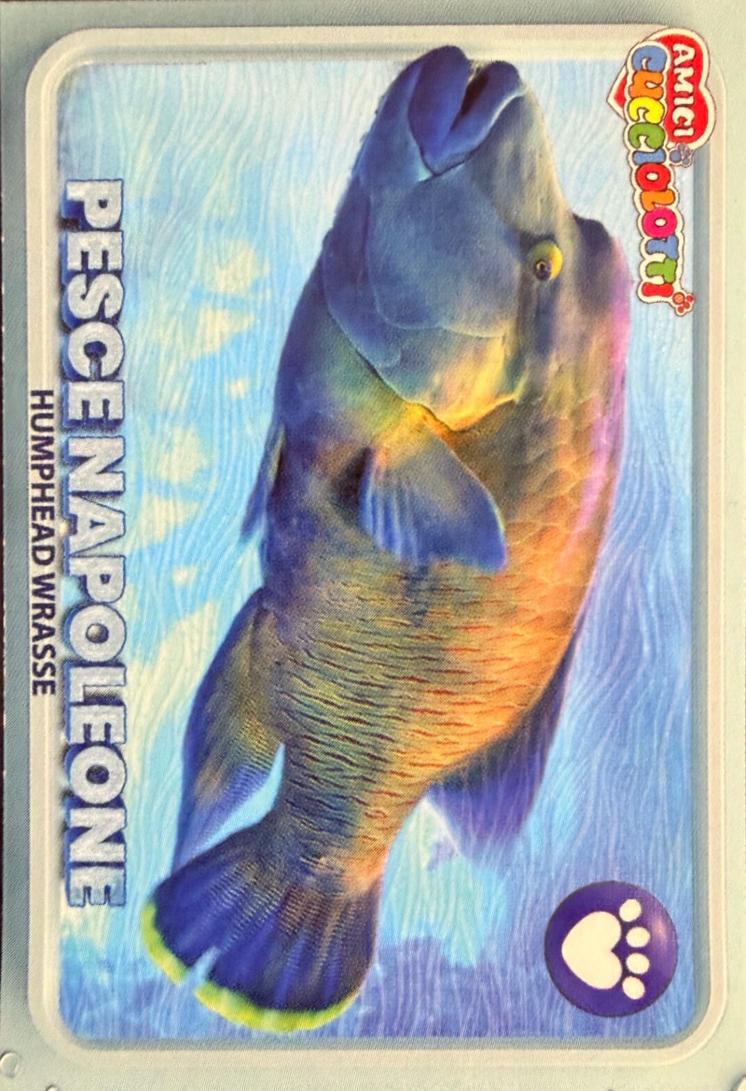 Amici Cucciolotti 2026 Pizzardi Editore - Figurine a scelta da 251 a 460 MD MS Tattoo