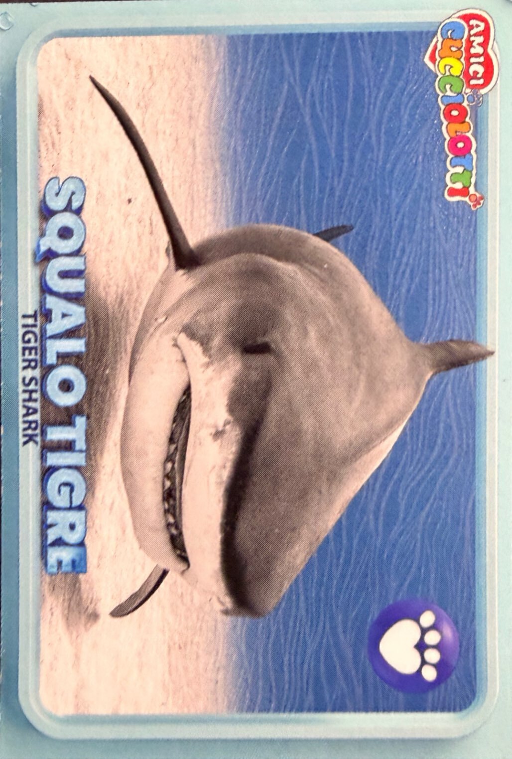 Amici Cucciolotti 2026 Pizzardi Editore - Figurine a scelta da 251 a 460 MD MS Tattoo