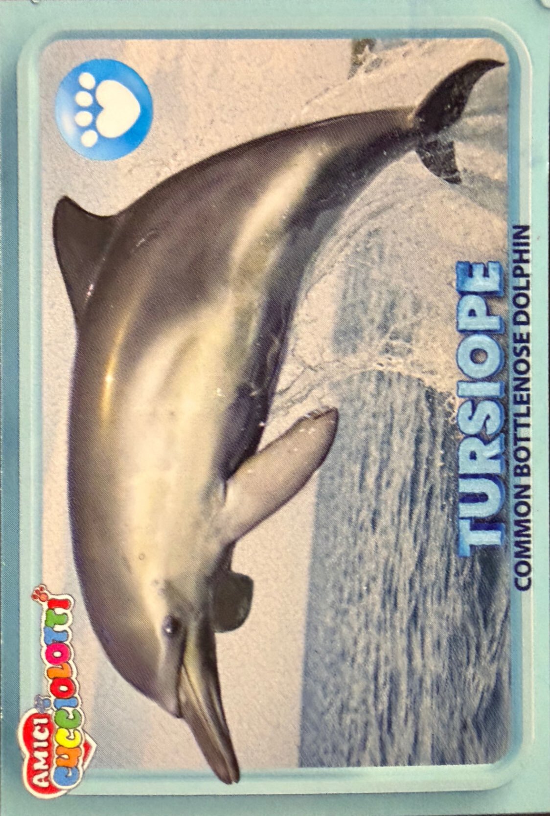 Amici Cucciolotti 2026 Pizzardi Editore - Figurine a scelta da 251 a 460 MD MS Tattoo