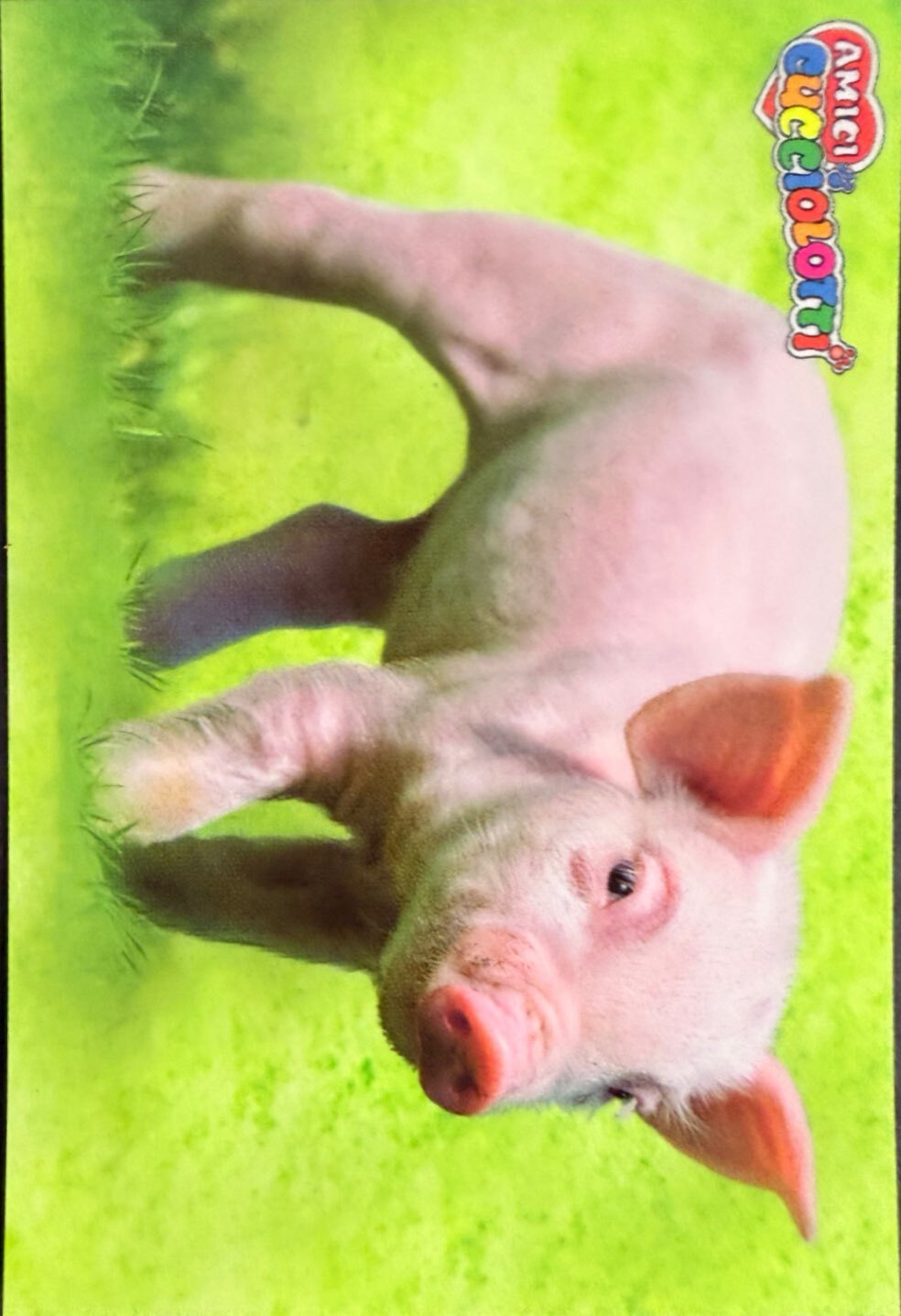 Amici Cucciolotti 2026 Pizzardi Editore - Figurine a scelta da 251 a 460 MD MS Tattoo