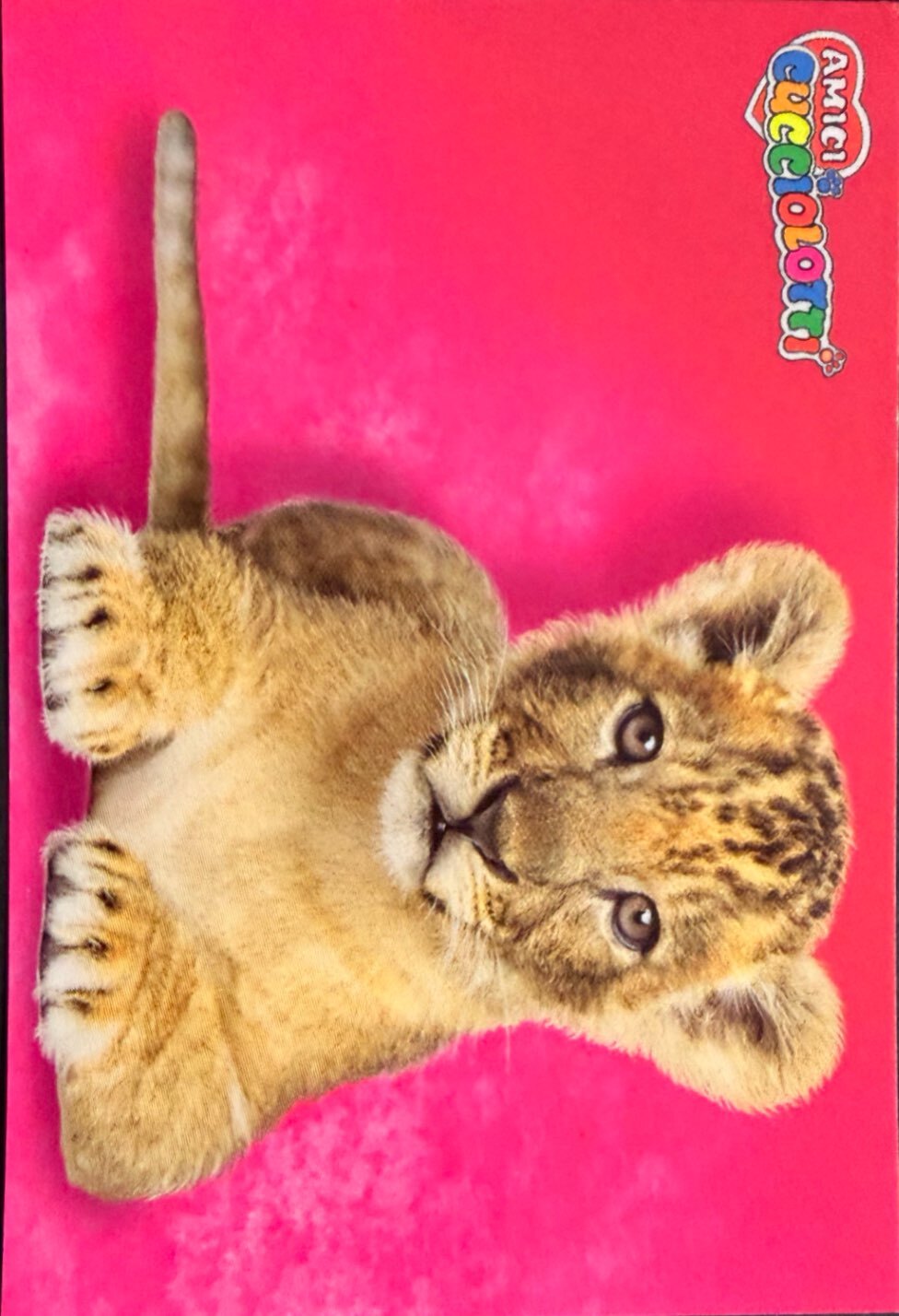 Amici Cucciolotti 2026 Pizzardi Editore - Figurine a scelta da 251 a 460 MD MS Tattoo