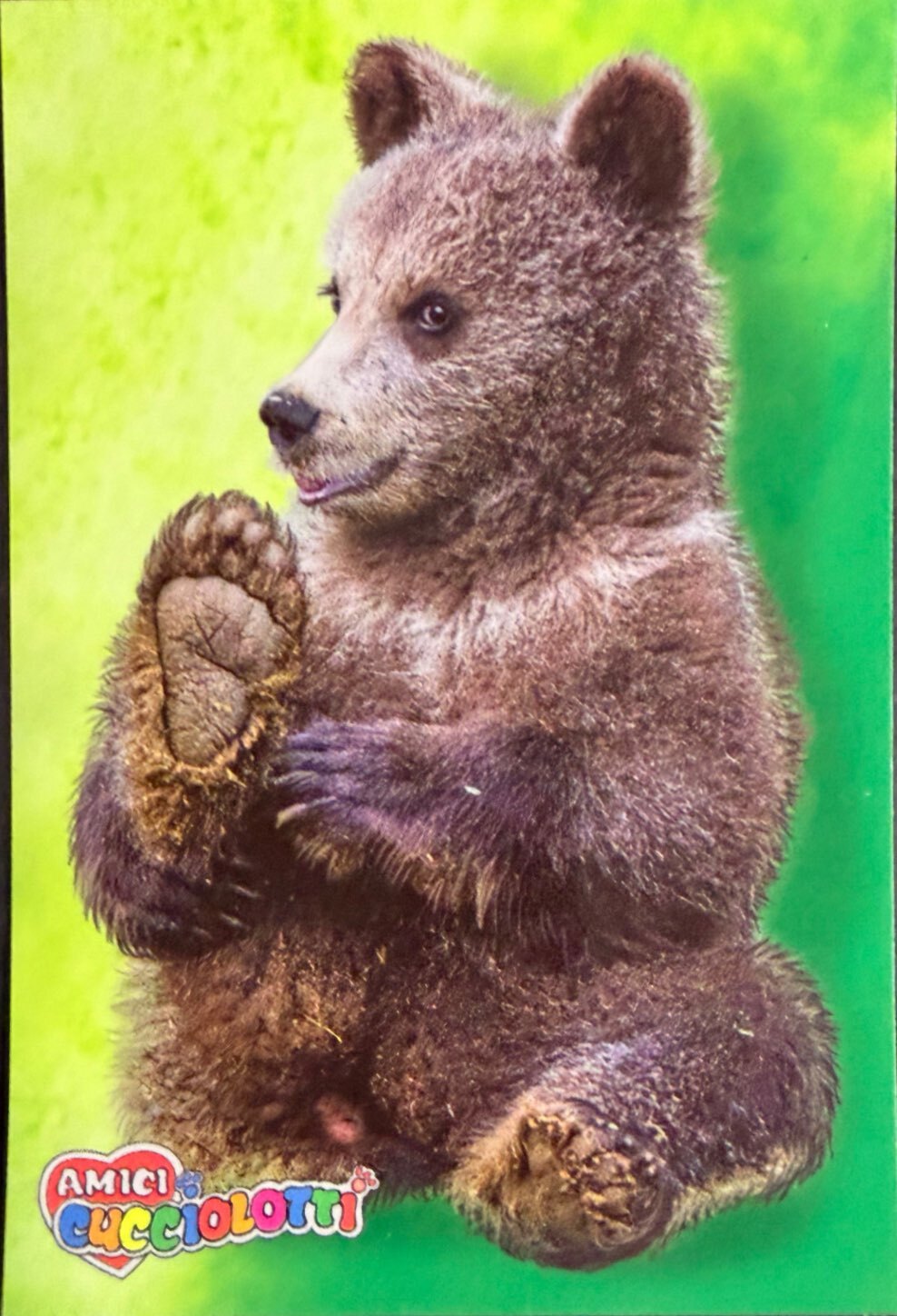 Amici Cucciolotti 2026 Pizzardi Editore - Figurine a scelta da 251 a 460 MD MS Tattoo