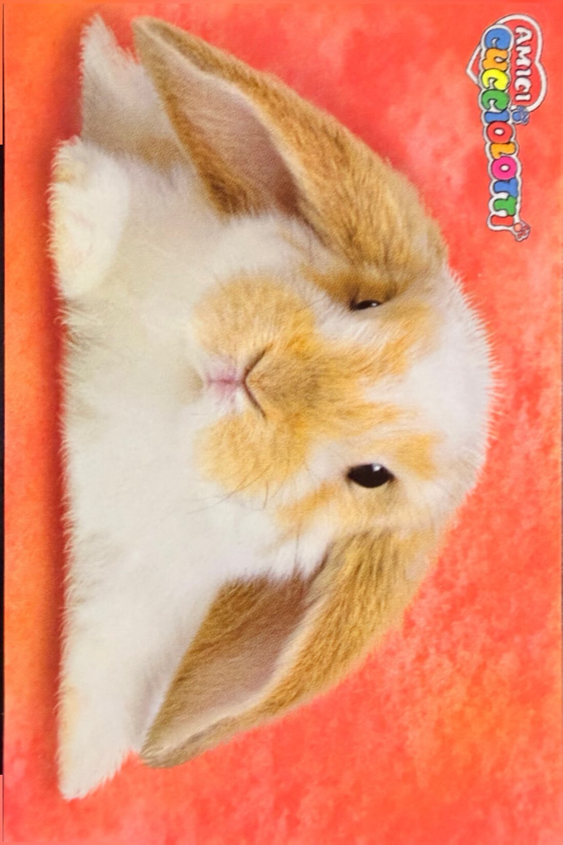 Amici Cucciolotti 2026 Pizzardi Editore - Figurine a scelta da 251 a 460 MD MS Tattoo