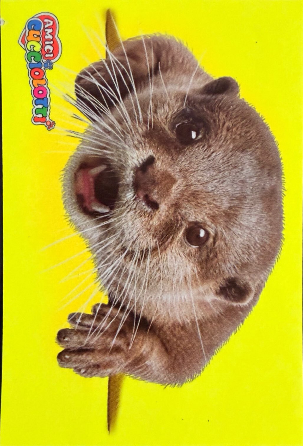 Amici Cucciolotti 2026 Pizzardi Editore - Figurine a scelta da 251 a 460 MD MS Tattoo