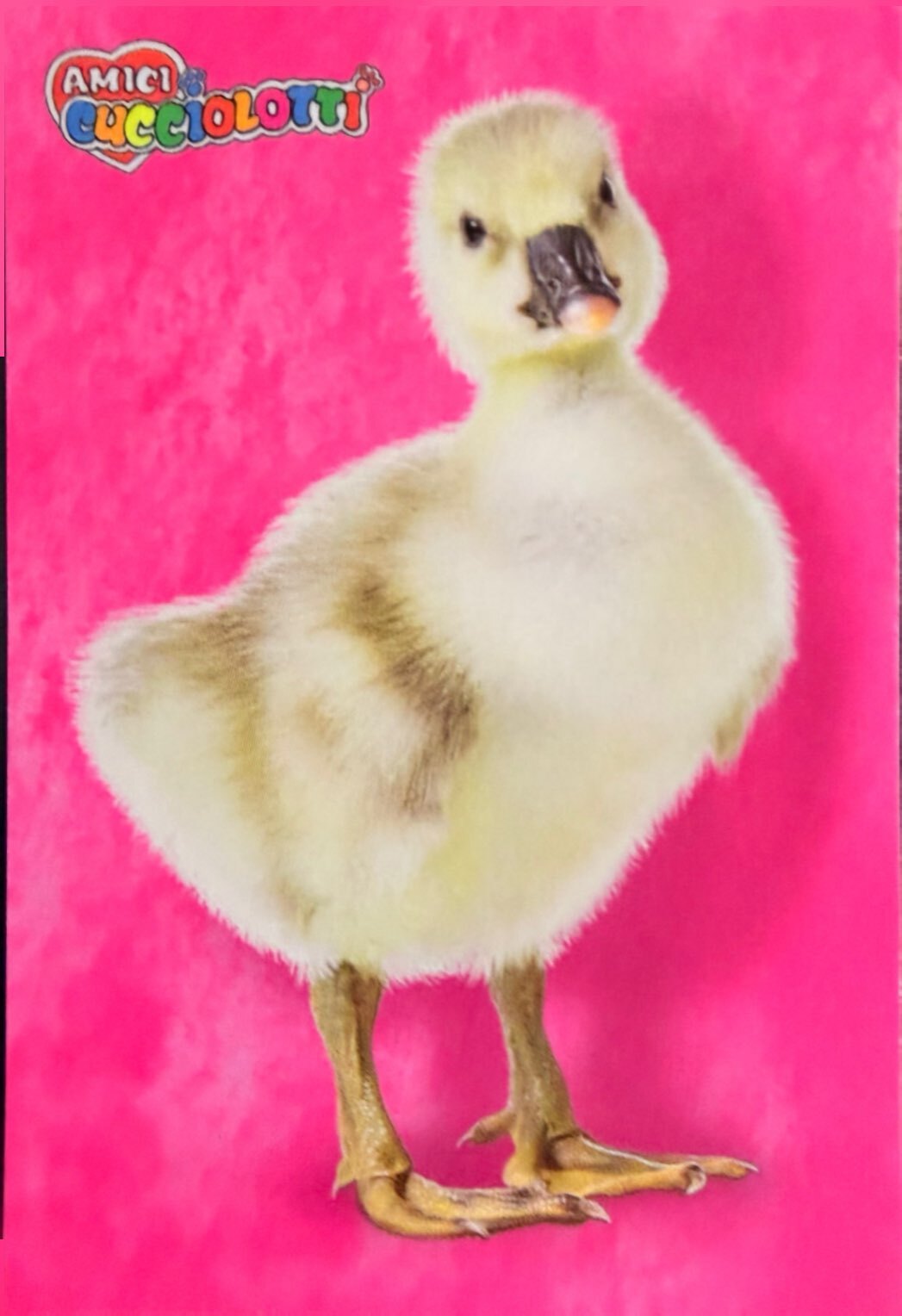 Amici Cucciolotti 2026 Pizzardi Editore - Figurine a scelta da 251 a 460 MD MS Tattoo