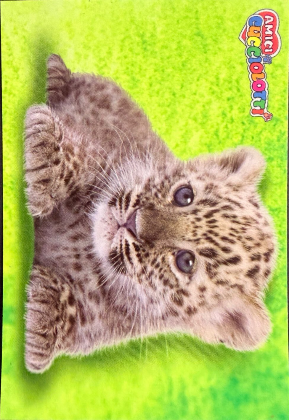 Amici Cucciolotti 2026 Pizzardi Editore - Figurine a scelta da 251 a 460 MD MS Tattoo