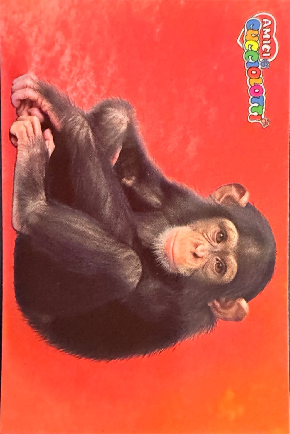 Amici Cucciolotti 2026 Pizzardi Editore - Figurine a scelta da 251 a 460 MD MS Tattoo