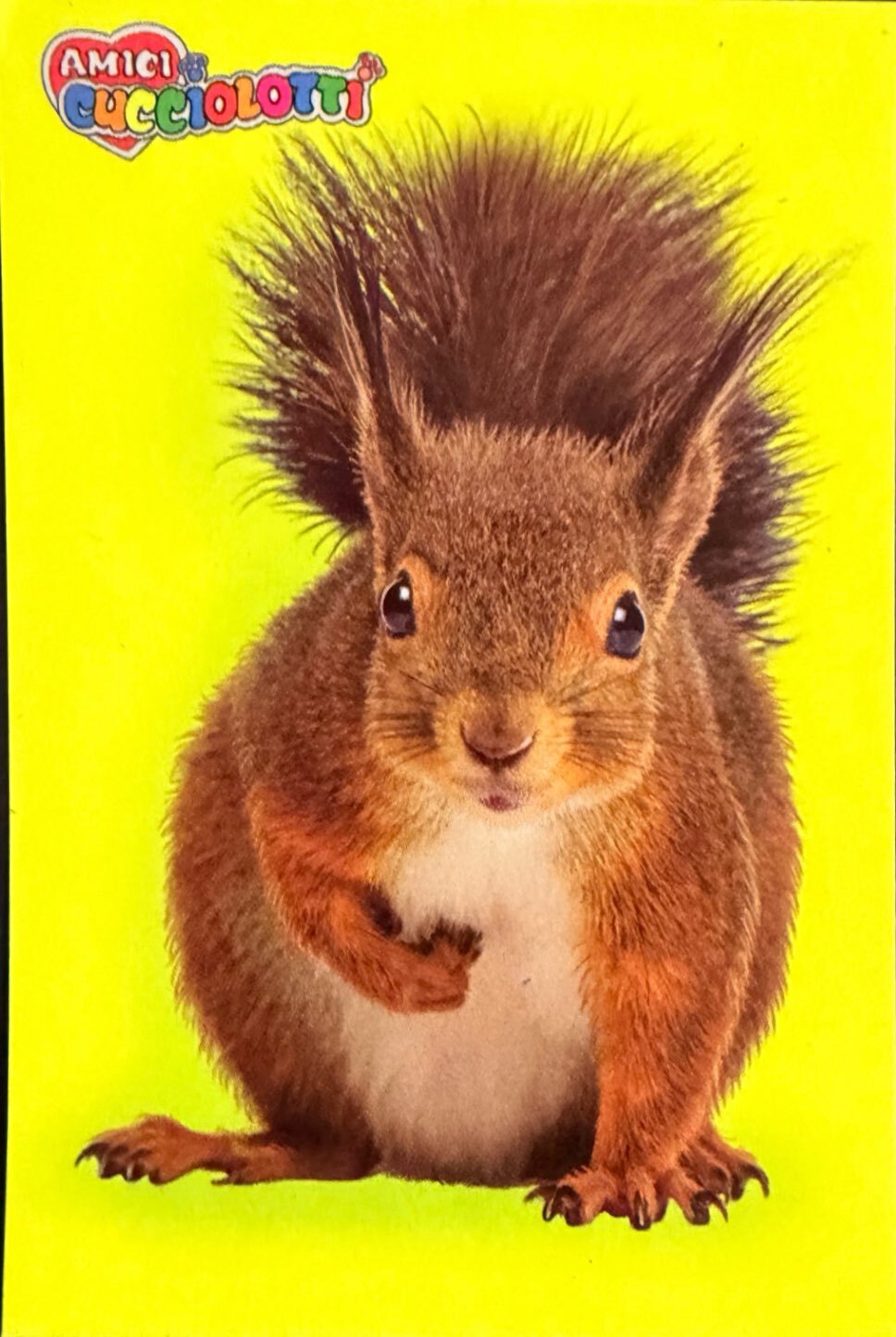 Amici Cucciolotti 2026 Pizzardi Editore - Figurine a scelta da 251 a 460 MD MS Tattoo