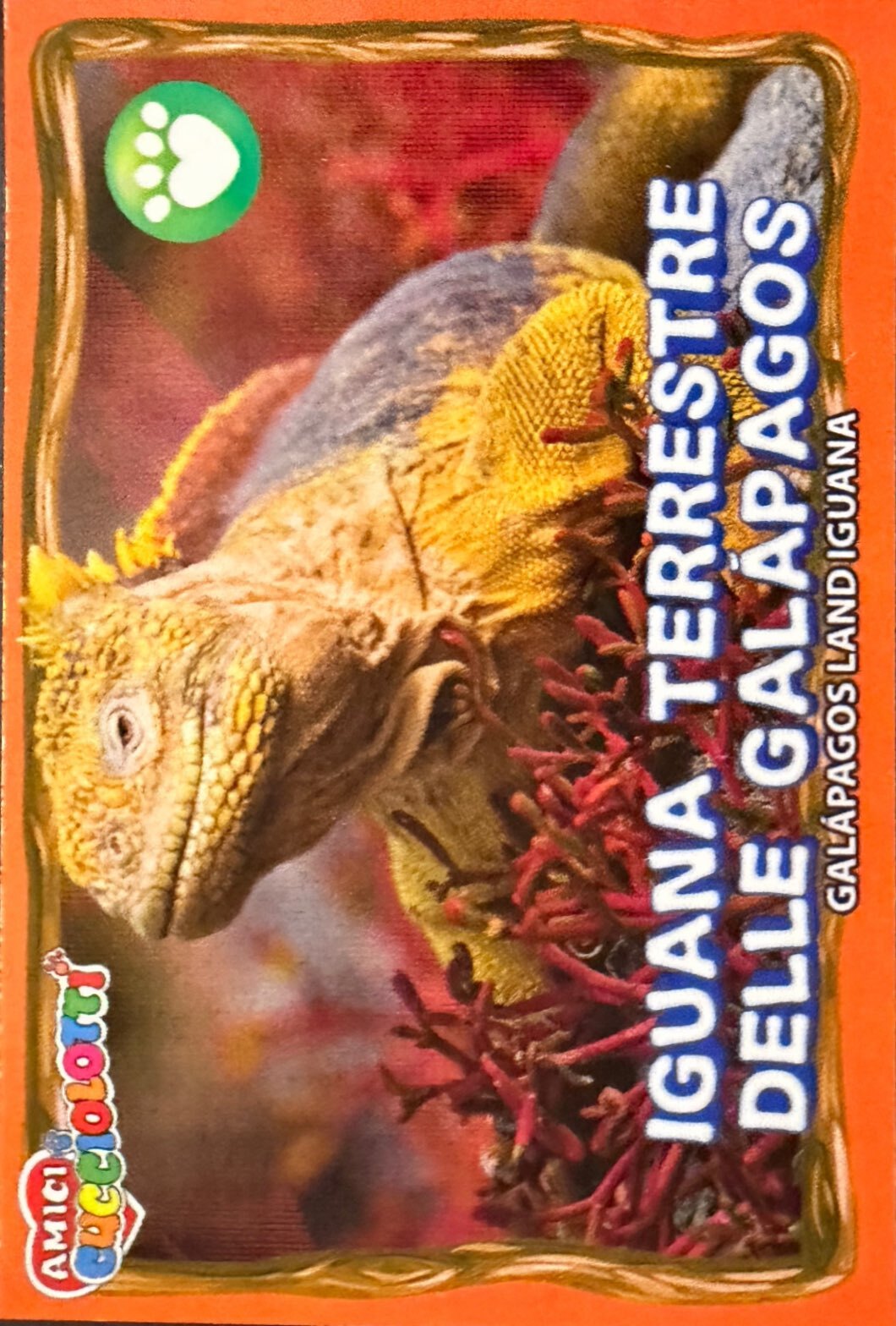 Amici Cucciolotti 2026 Pizzardi Editore - Figurine a scelta da 251 a 460 MD MS Tattoo