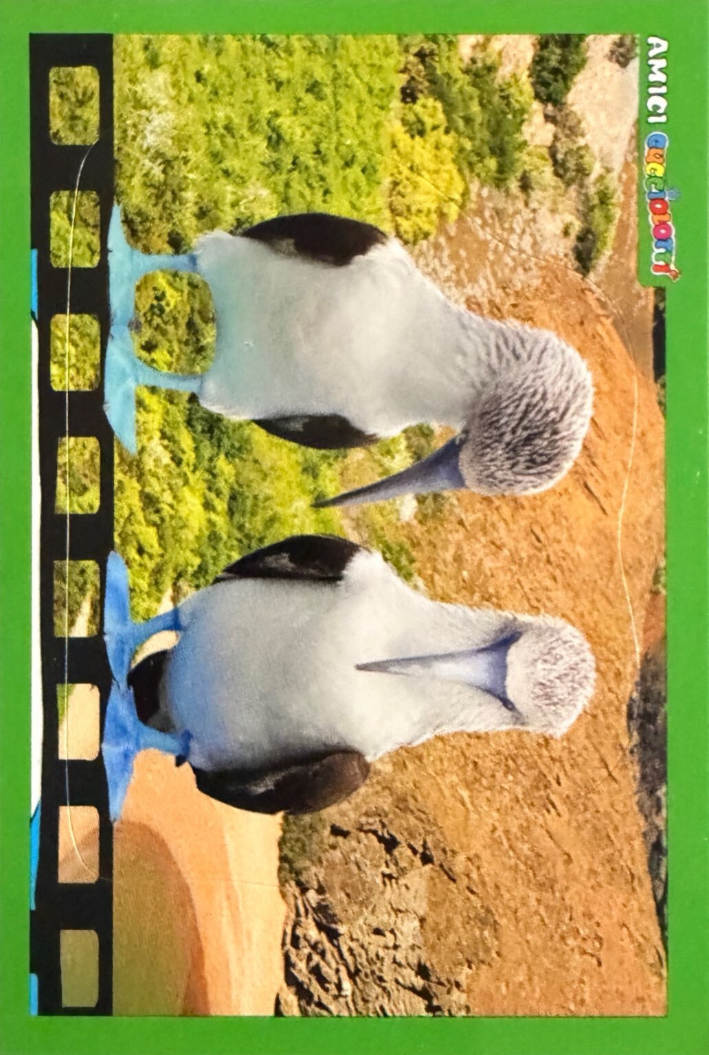 Amici Cucciolotti 2026 Pizzardi Editore - Figurine a scelta da 251 a 460 MD MS Tattoo