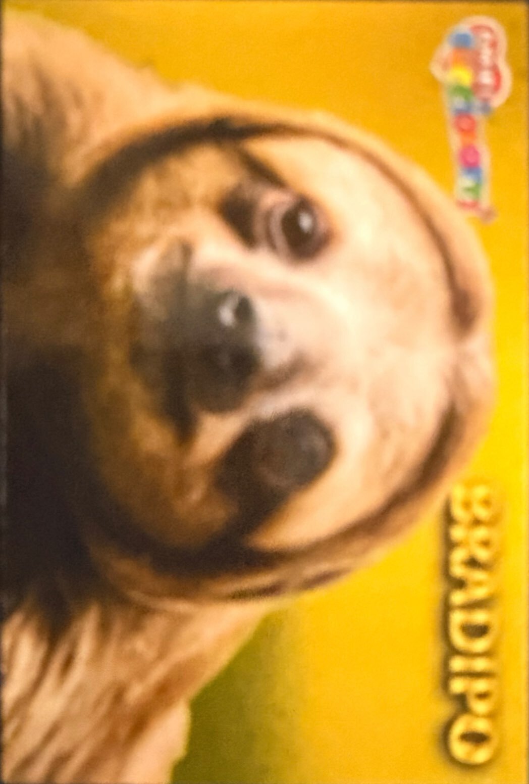 Amici Cucciolotti 2026 Pizzardi Editore - Figurine a scelta da 251 a 460 MD MS Tattoo