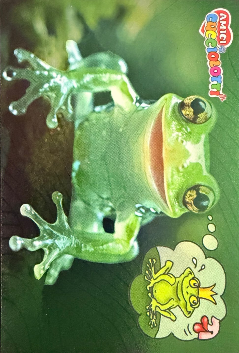 Amici Cucciolotti 2026 Pizzardi Editore - Figurine a Scelta 1-250