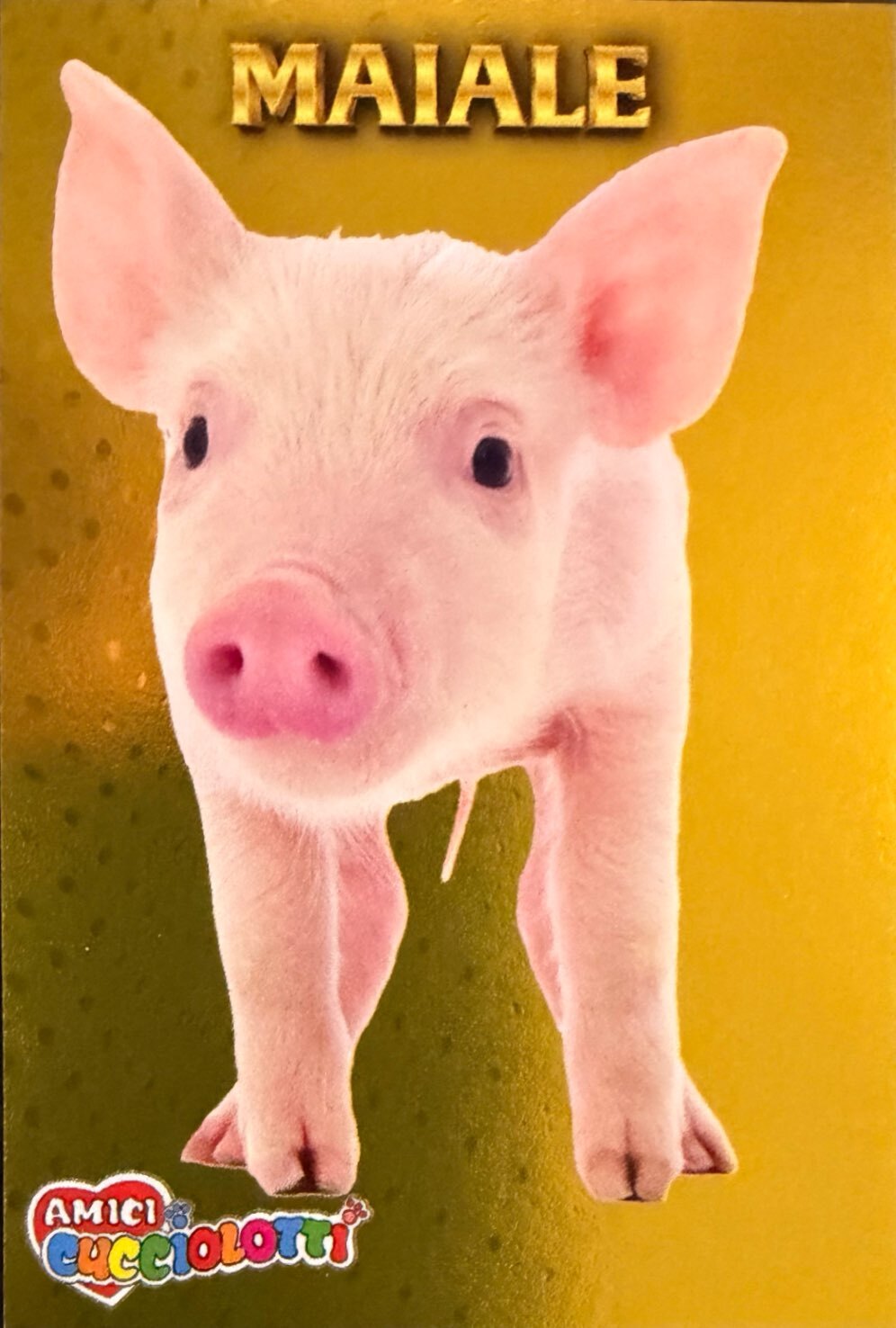 Amici Cucciolotti 2026 Pizzardi Editore - Figurine a scelta da 251 a 460 MD MS Tattoo