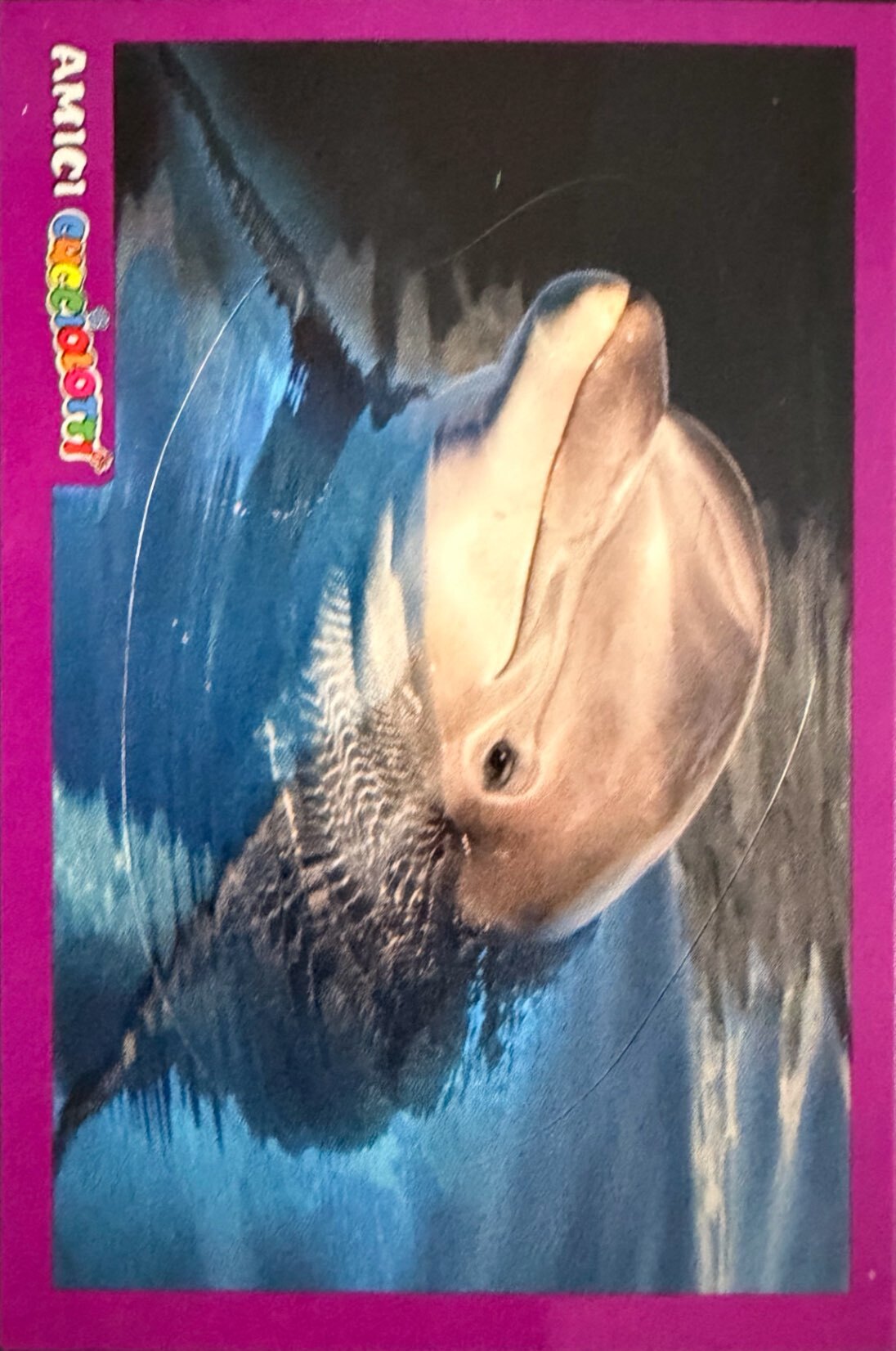 Amici Cucciolotti 2026 Pizzardi Editore - Figurine a scelta da 251 a 460 MD MS Tattoo