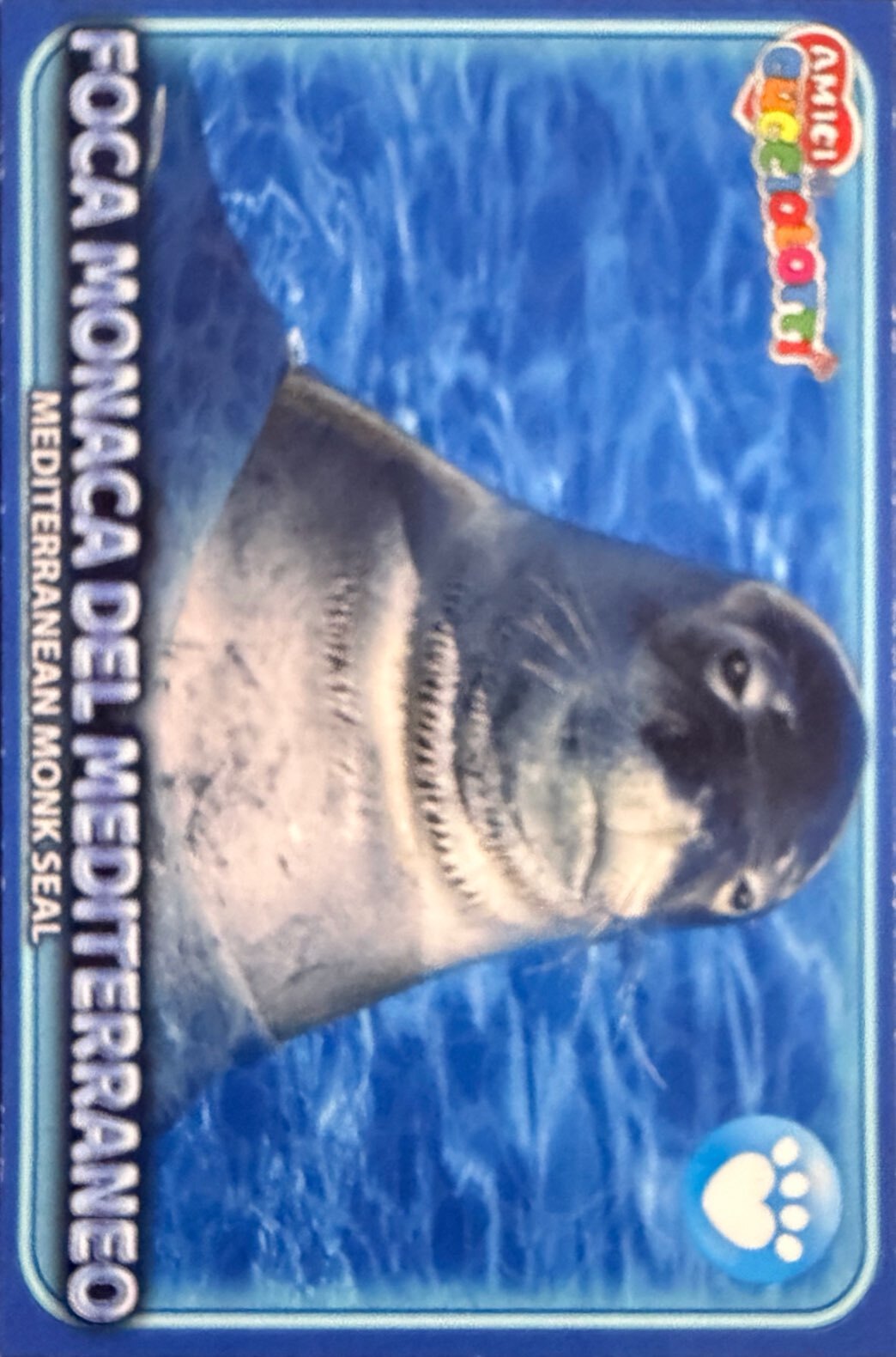 Amici Cucciolotti 2026 Pizzardi Editore - Figurine a scelta da 251 a 460 MD MS Tattoo