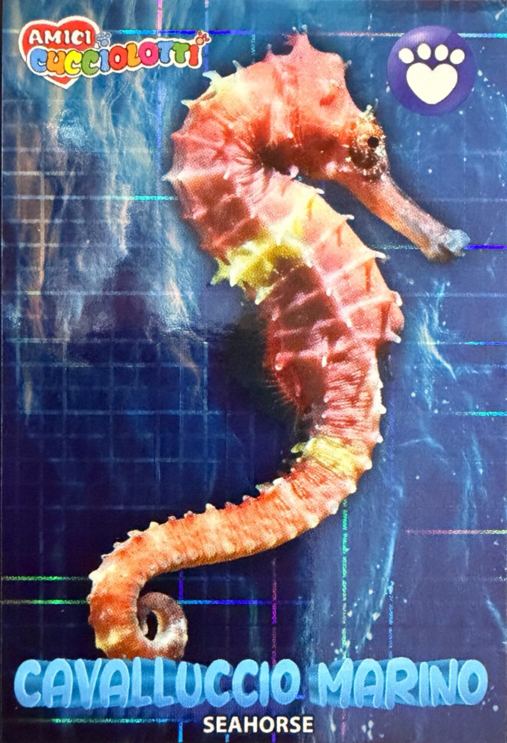 Amici Cucciolotti 2026 Pizzardi Editore - Figurine a scelta da 251 a 460 MD MS Tattoo