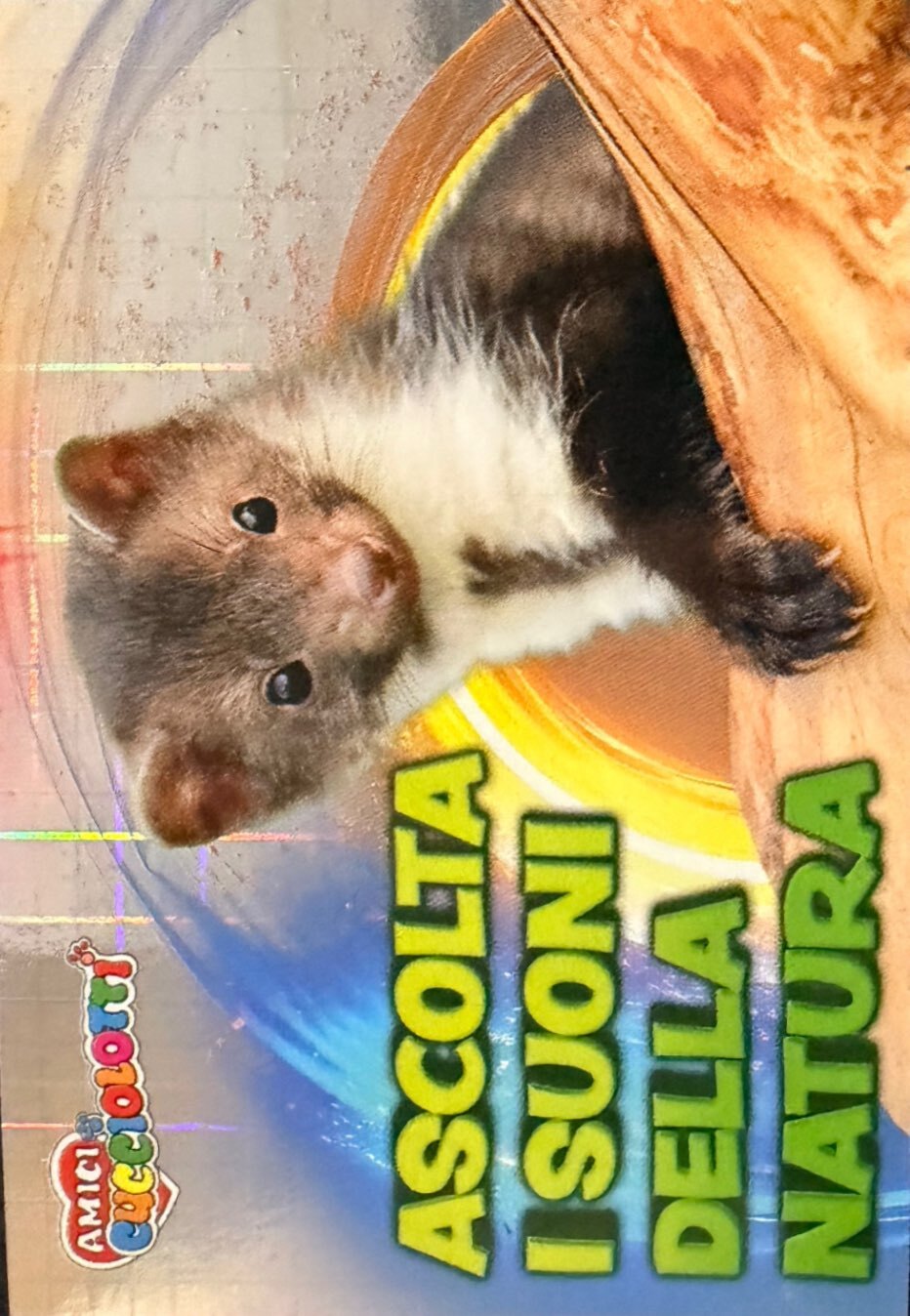 Amici Cucciolotti 2026 Pizzardi Editore - Figurine a scelta da 251 a 460 MD MS Tattoo