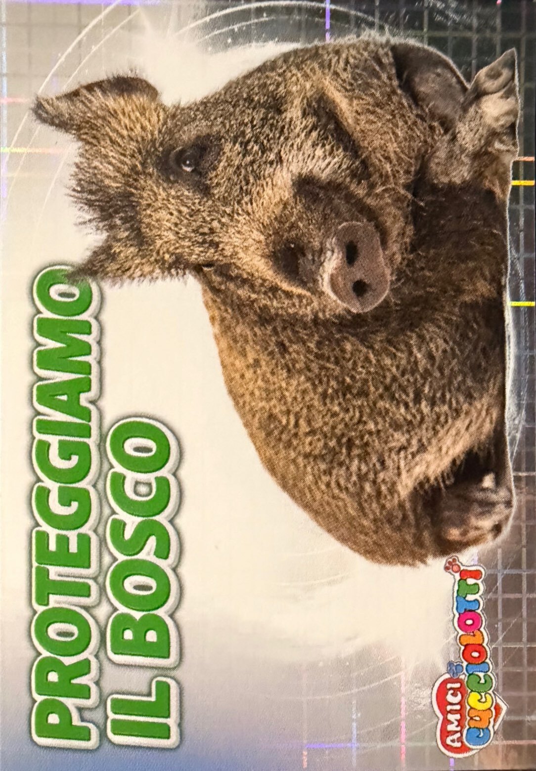 Amici Cucciolotti 2026 Pizzardi Editore - Figurine a scelta da 251 a 460 MD MS Tattoo