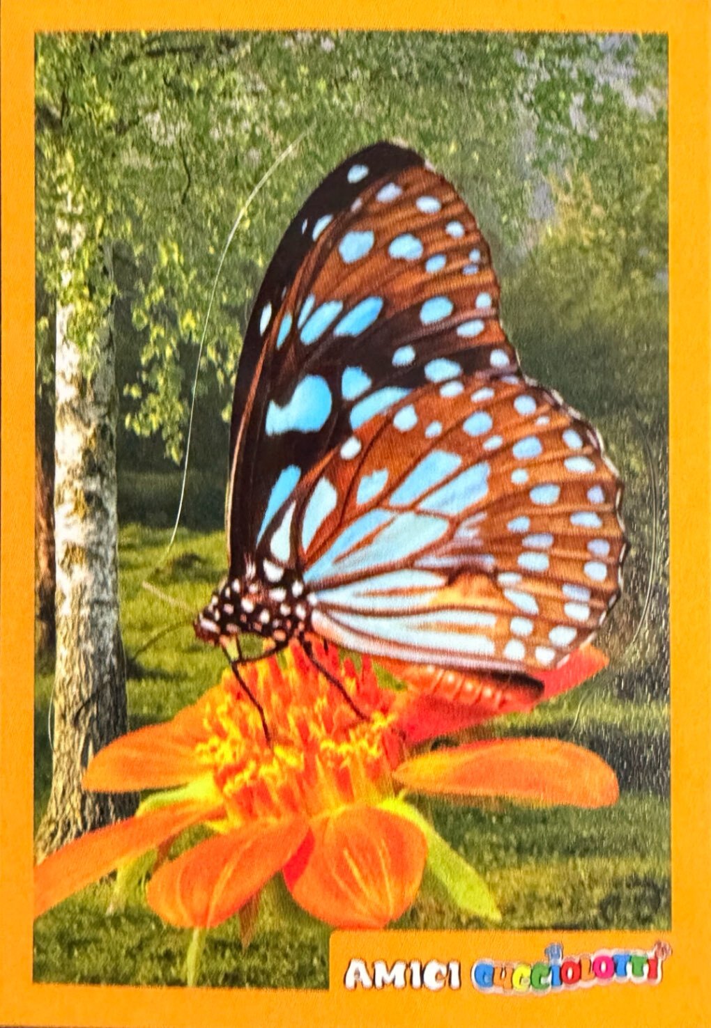 Amici Cucciolotti 2026 Pizzardi Editore - Figurine a scelta da 251 a 460 MD MS Tattoo