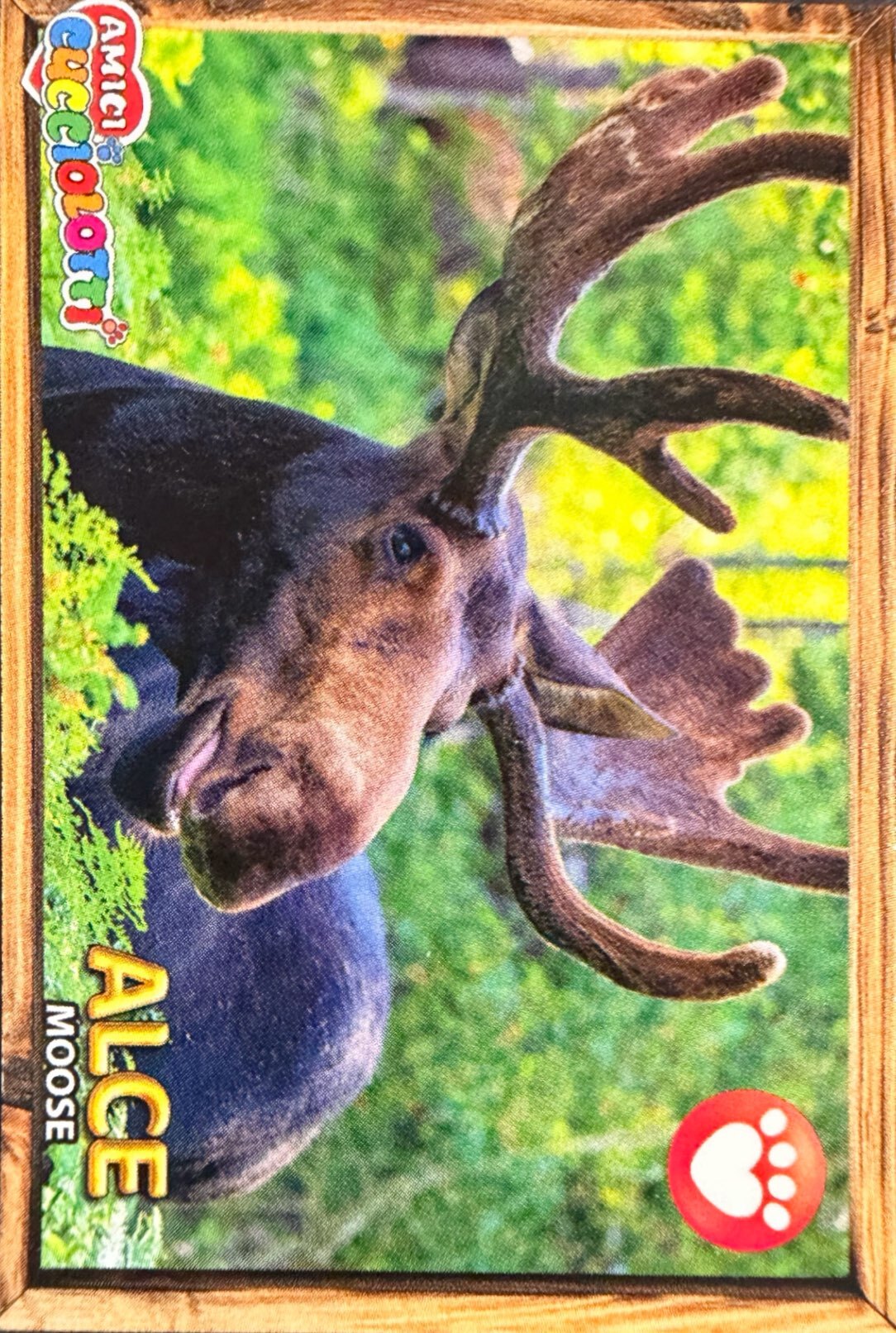 Amici Cucciolotti 2026 Pizzardi Editore - Figurine a scelta da 251 a 460 MD MS Tattoo