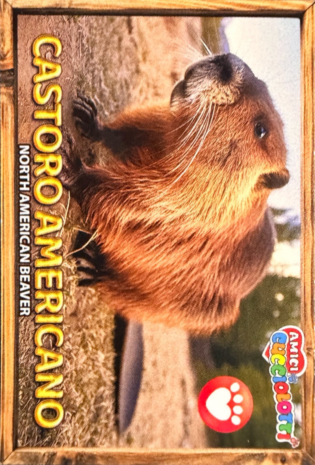 Amici Cucciolotti 2026 Pizzardi Editore - Figurine a scelta da 251 a 460 MD MS Tattoo