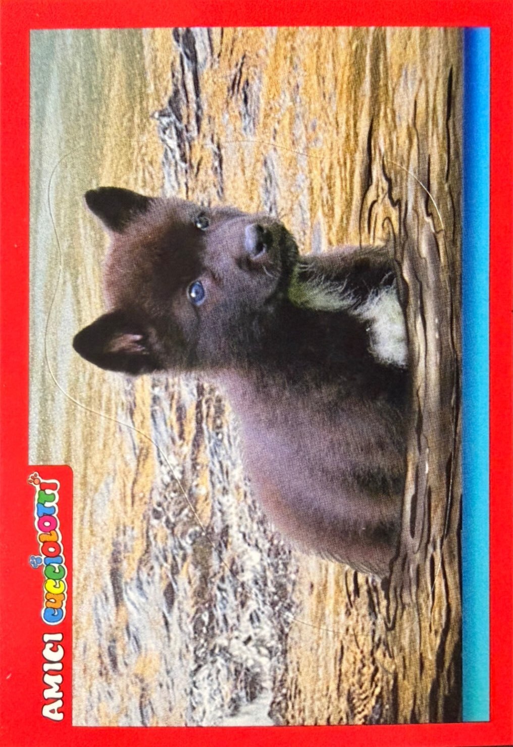 Amici Cucciolotti 2026 Pizzardi Editore - Figurine a scelta da 251 a 460 MD MS Tattoo