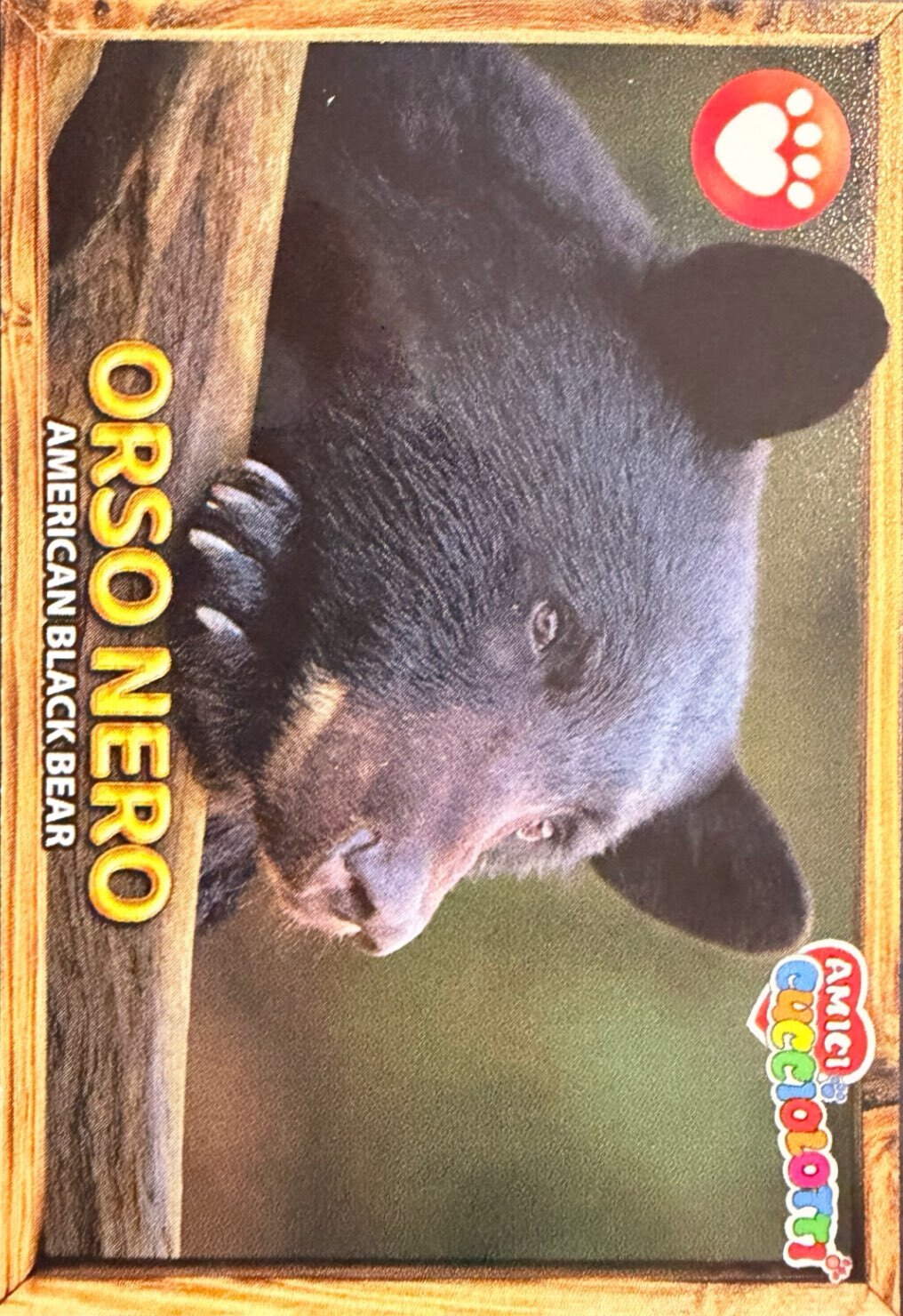 Amici Cucciolotti 2026 Pizzardi Editore - Figurine a scelta da 251 a 460 MD MS Tattoo