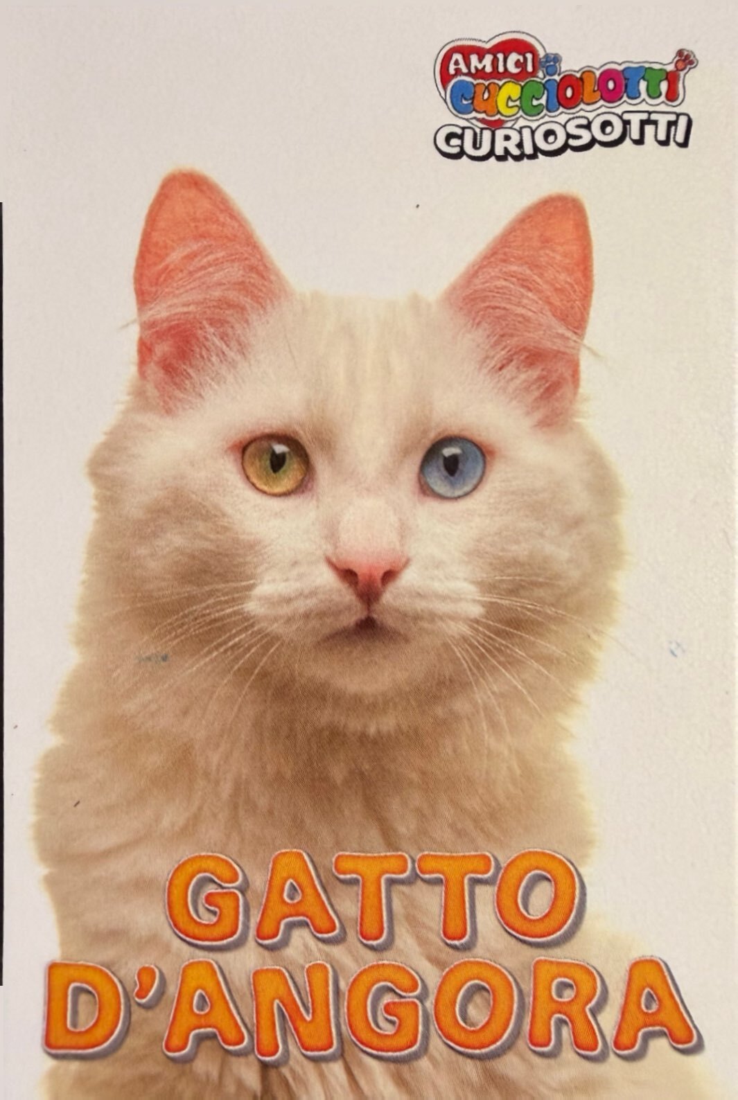 Amici Cucciolotti 2026 Pizzardi Editore - Figurine a scelta da 251 a 460 MD MS Tattoo