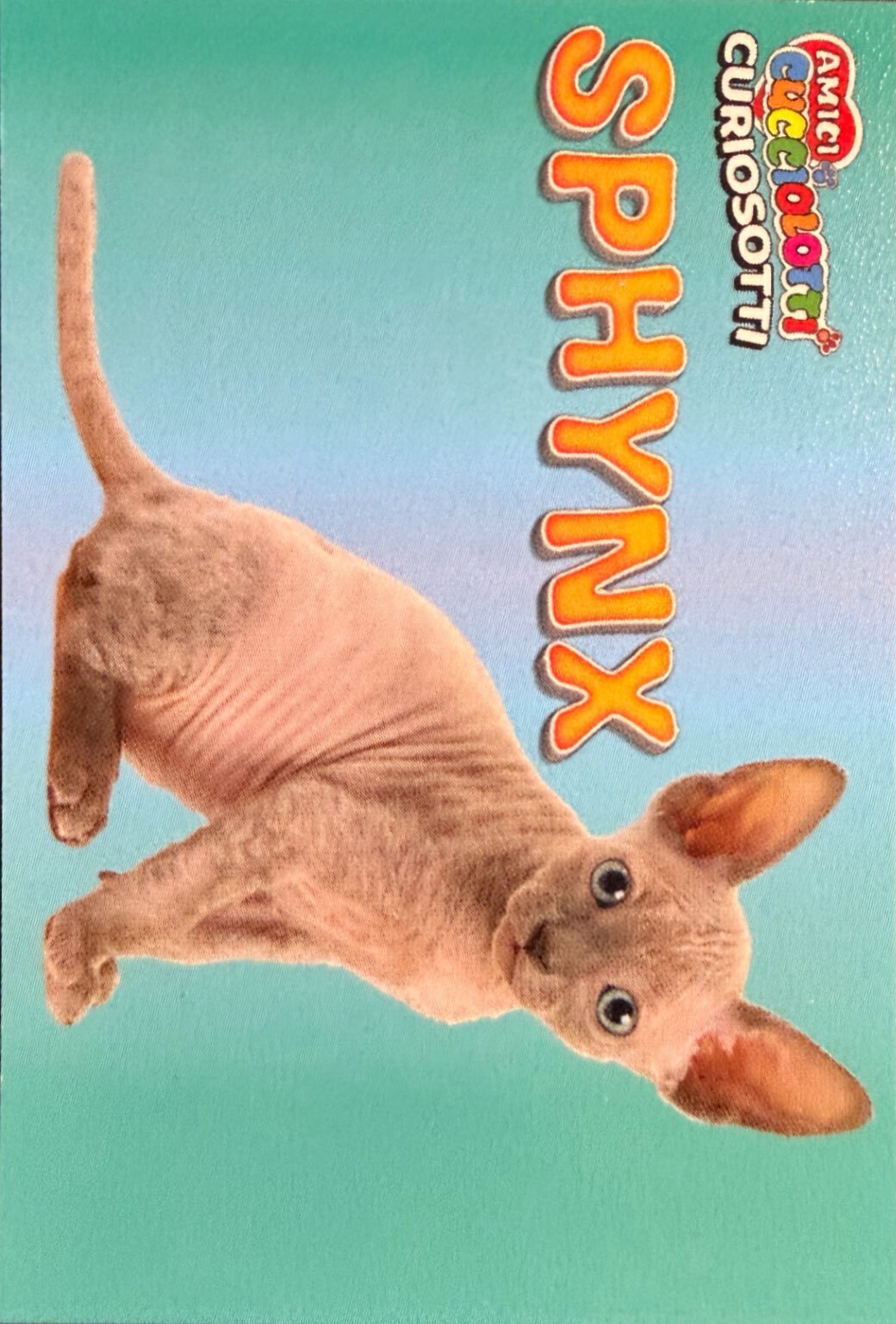 Amici Cucciolotti 2026 Pizzardi Editore - Figurine a scelta da 251 a 460 MD MS Tattoo