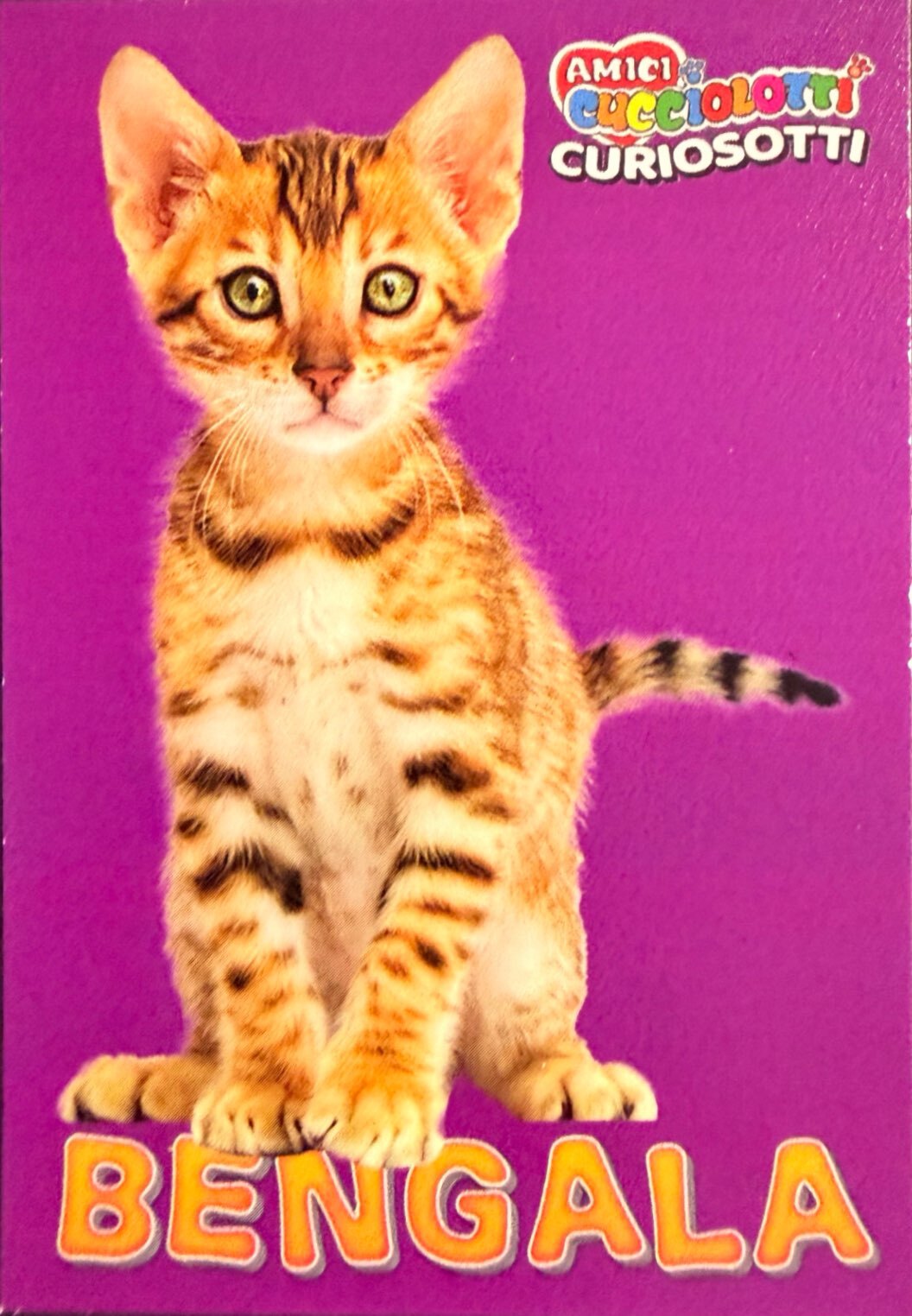 Amici Cucciolotti 2026 Pizzardi Editore - Figurine a scelta da 251 a 460 MD MS Tattoo