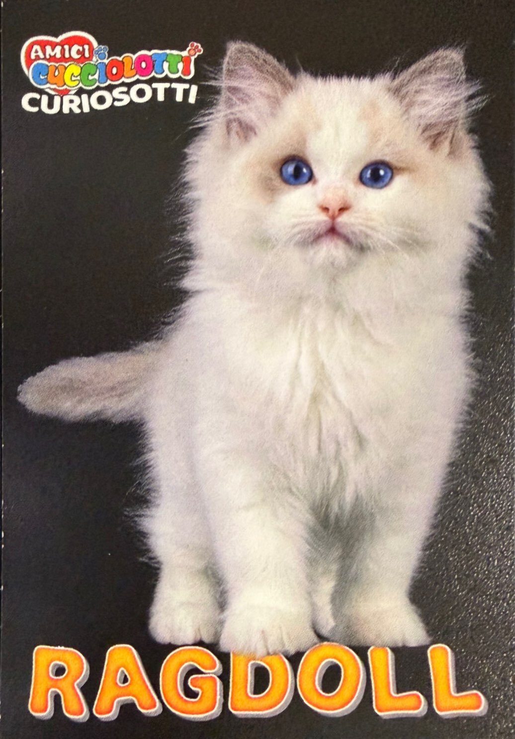 Amici Cucciolotti 2026 Pizzardi Editore - Figurine a scelta da 251 a 460 MD MS Tattoo