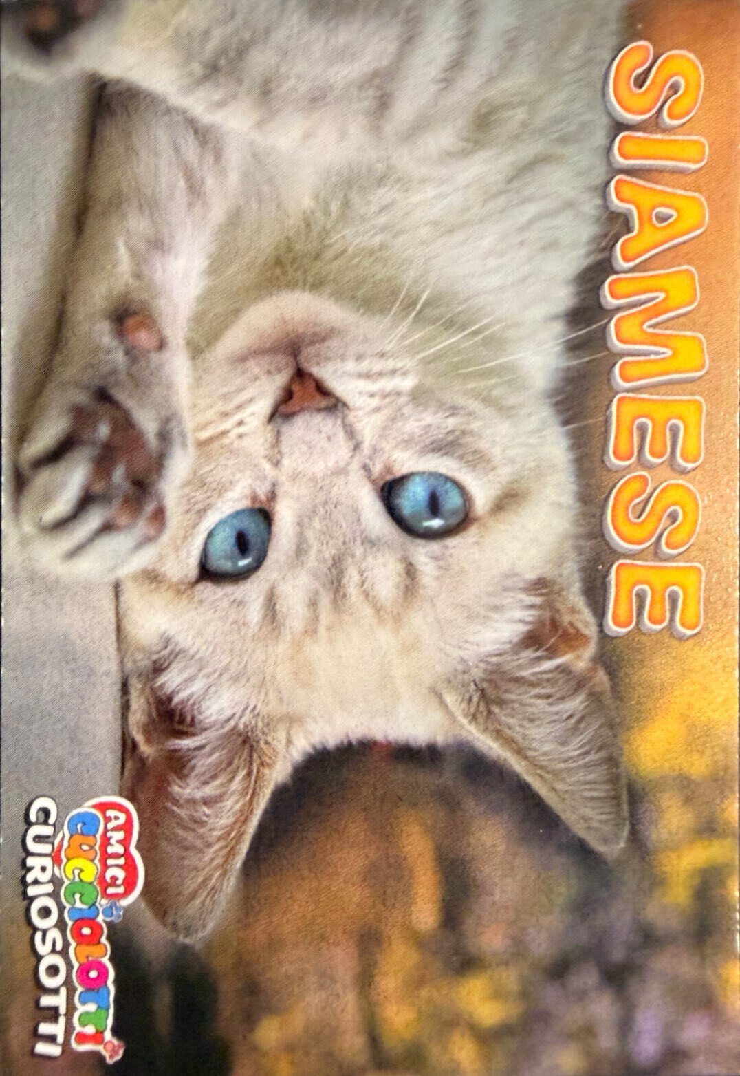 Amici Cucciolotti 2026 Pizzardi Editore - Figurine a scelta da 251 a 460 MD MS Tattoo