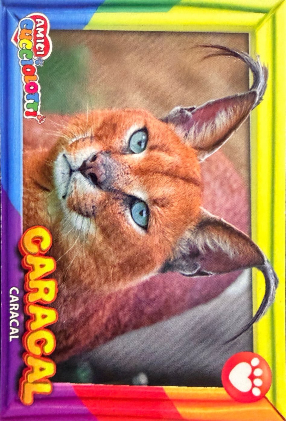 Amici Cucciolotti 2026 Pizzardi Editore - Figurine a scelta da 251 a 460 MD MS Tattoo