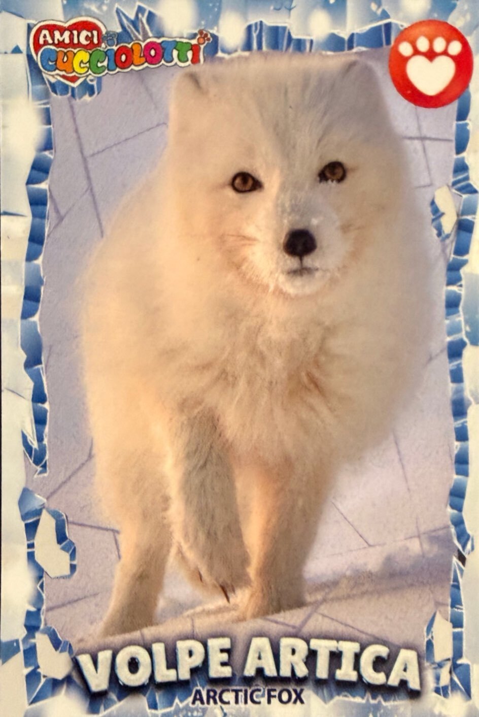 Amici Cucciolotti 2026 Pizzardi Editore - Figurine a scelta da 251 a 460 MD MS Tattoo