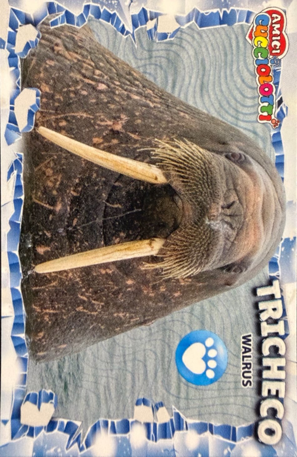 Amici Cucciolotti 2026 Pizzardi Editore - Figurine a scelta da 251 a 460 MD MS Tattoo