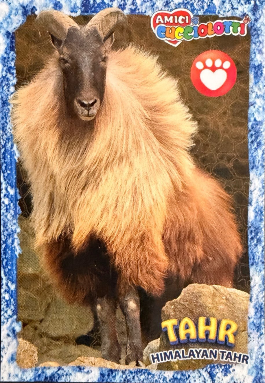 Amici Cucciolotti 2026 Pizzardi Editore - Figurine a scelta da 251 a 460 MD MS Tattoo