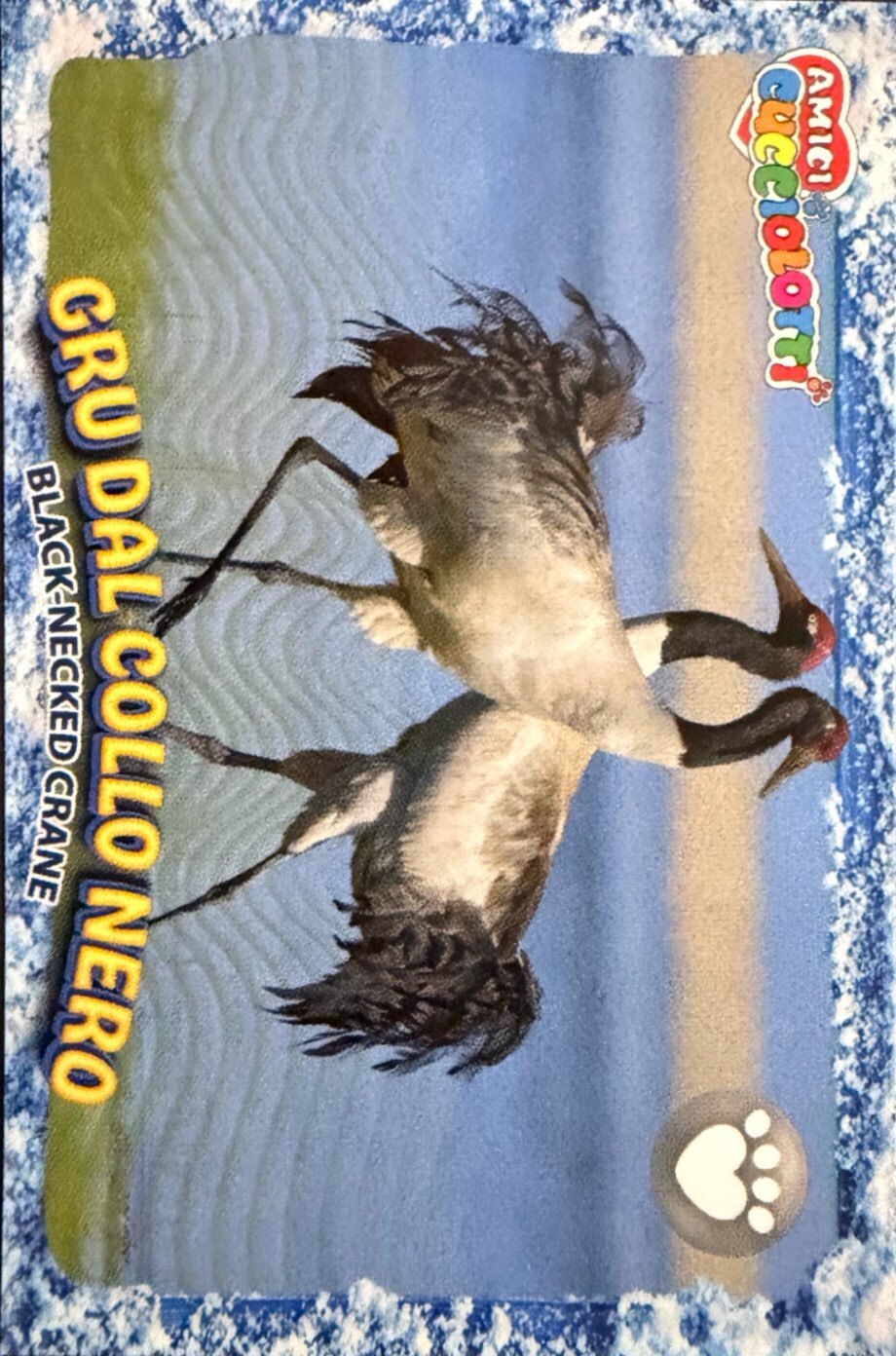 Amici Cucciolotti 2026 Pizzardi Editore - Figurine a scelta da 251 a 460 MD MS Tattoo