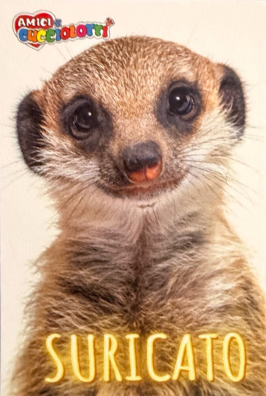 Amici Cucciolotti 2026 Pizzardi Editore - Figurine a scelta da 251 a 460 MD MS Tattoo