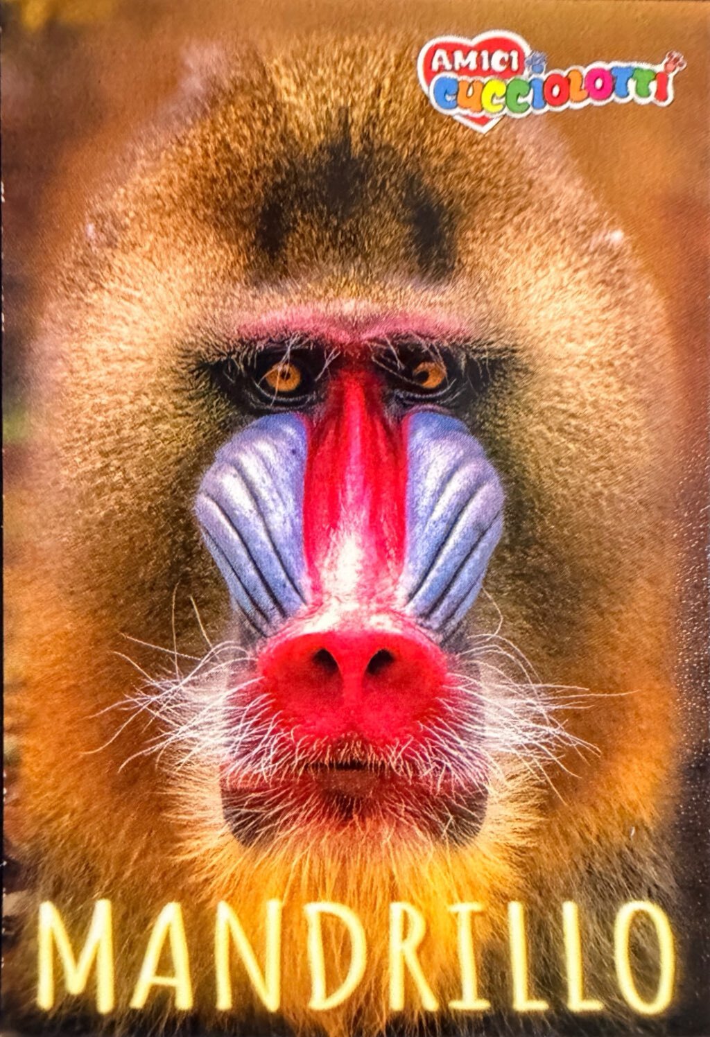 Amici Cucciolotti 2026 Pizzardi Editore - Figurine a scelta da 251 a 460 MD MS Tattoo