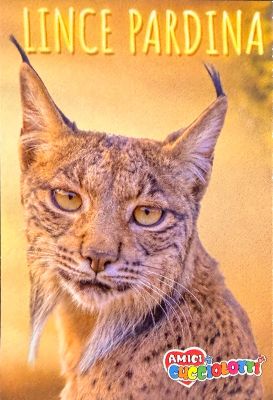 Amici Cucciolotti 2026 Pizzardi Editore - Figurine a scelta da 251 a 460 MD MS Tattoo