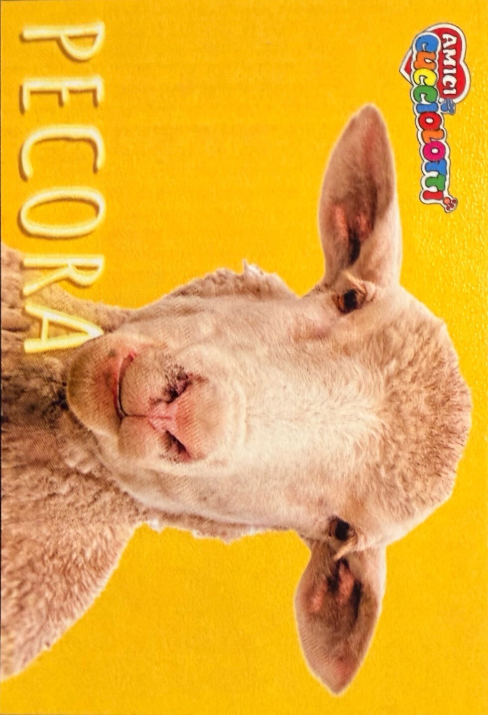 Amici Cucciolotti 2026 Pizzardi Editore - Figurine a scelta da 251 a 460 MD MS Tattoo