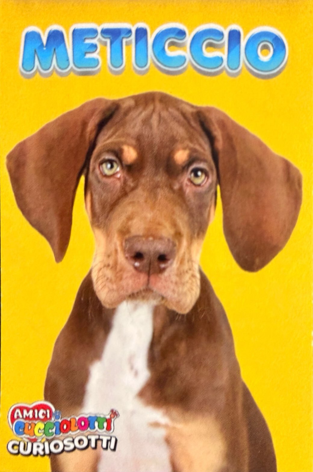 Amici Cucciolotti 2026 Pizzardi Editore - Figurine a scelta da 251 a 460 MD MS Tattoo