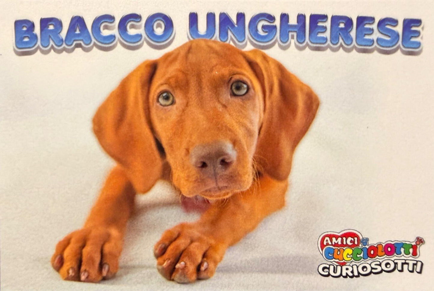 Amici Cucciolotti 2026 Pizzardi Editore - Figurine a scelta da 251 a 460 MD MS Tattoo