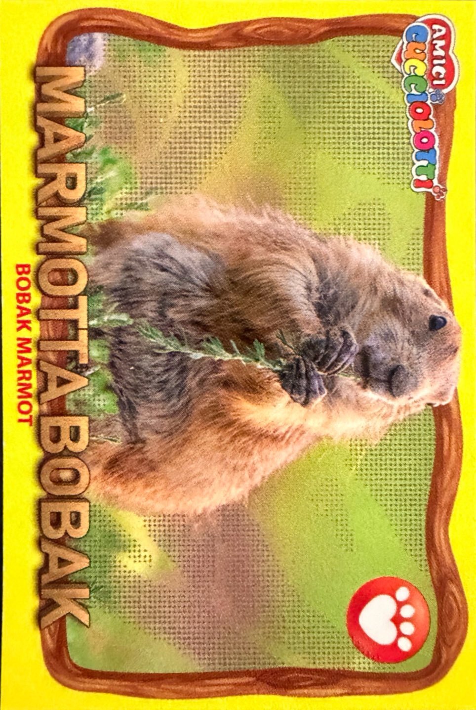 Amici Cucciolotti 2026 Pizzardi Editore - Figurine a Scelta 1-250